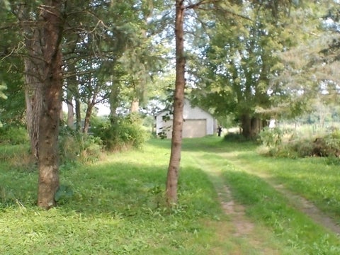 Photo for Musbach Road