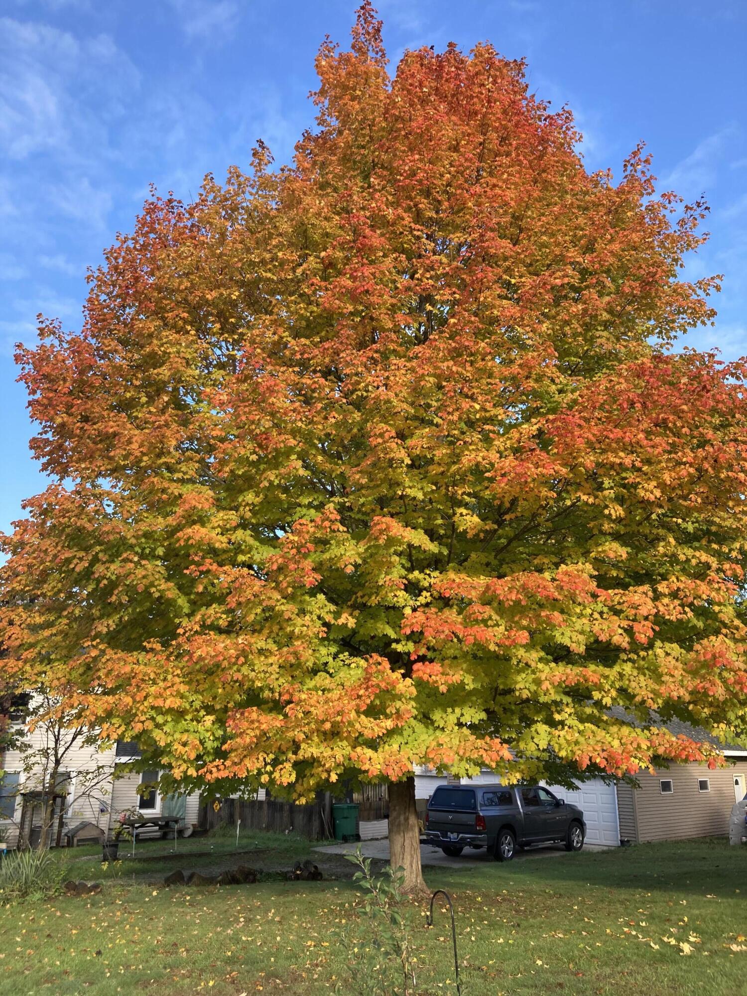 Paw Paw, Michigan 49079, United States, 5 Bedrooms Bedrooms, ,3 BathroomsBathrooms,Residential,Active,137734