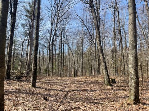 Photo of 5243 S Basswood Drive, Newaygo, MI 49337 (MLS # 26011015)