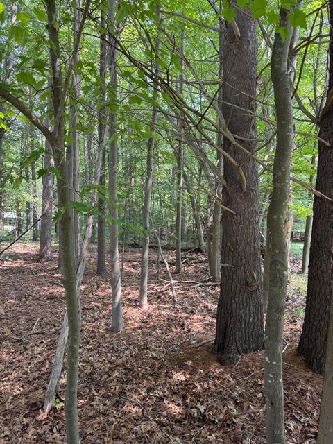 Photo of vl 3rd Avenue, Pentwater, MI 49449 (MLS # 26024882)
