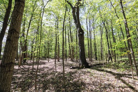 Photo of 59385 Benny Ct (Private) #Parcel 2, Grand Junction, MI 49056 (MLS # 25030298)