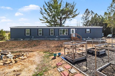 Photo of 3275 Winter Road, Walkerville, MI 49459 (MLS # 26015171)