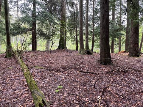 Photo of V/L E Pomeroy Springs Road, Irons, MI 49644 (MLS # 26023944)