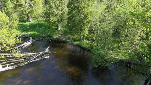 Photo of V/L E Pomeroy Springs Road, Irons, MI 49644 (MLS # 26023944)