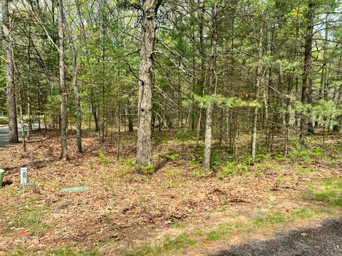 Photo of Lot 95 Iroquois Road, Pentwater, MI 49449 (MLS # 26023856)