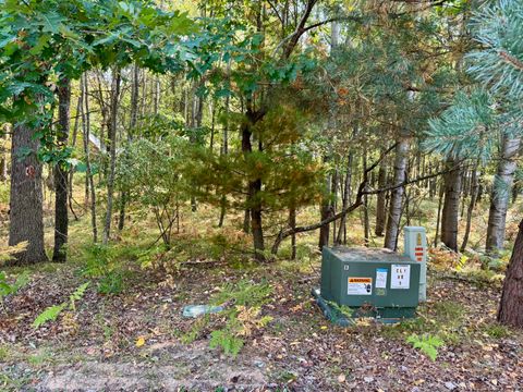 6742 Abbey Lane Canadian Lakes MI 49346