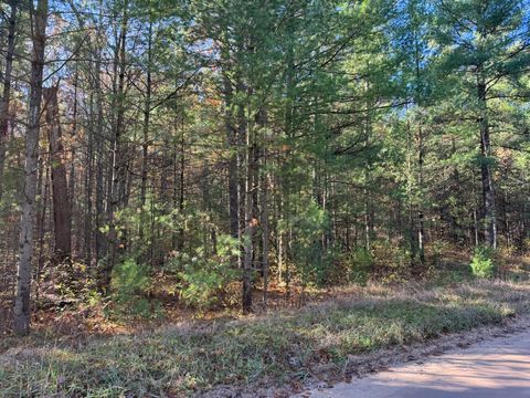 Photo of Parcel 1 County Line Road, Free Soil, MI 49411 (MLS # 26009976)