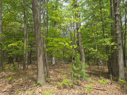 Photo of VL N Ridge Road, Mears, MI 49436 (MLS # 26024305)