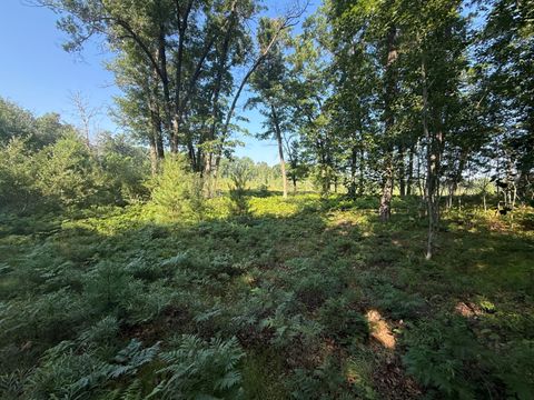 TBD W Royal Road Stanwood MI 49346