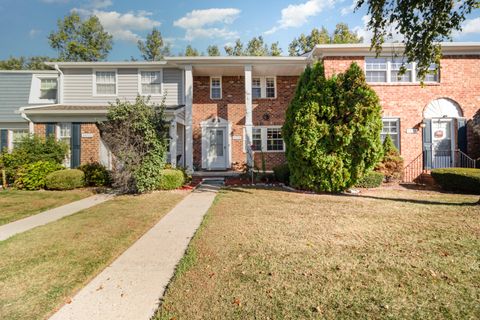 24750 Olde Orchard Street Novi MI 48375
