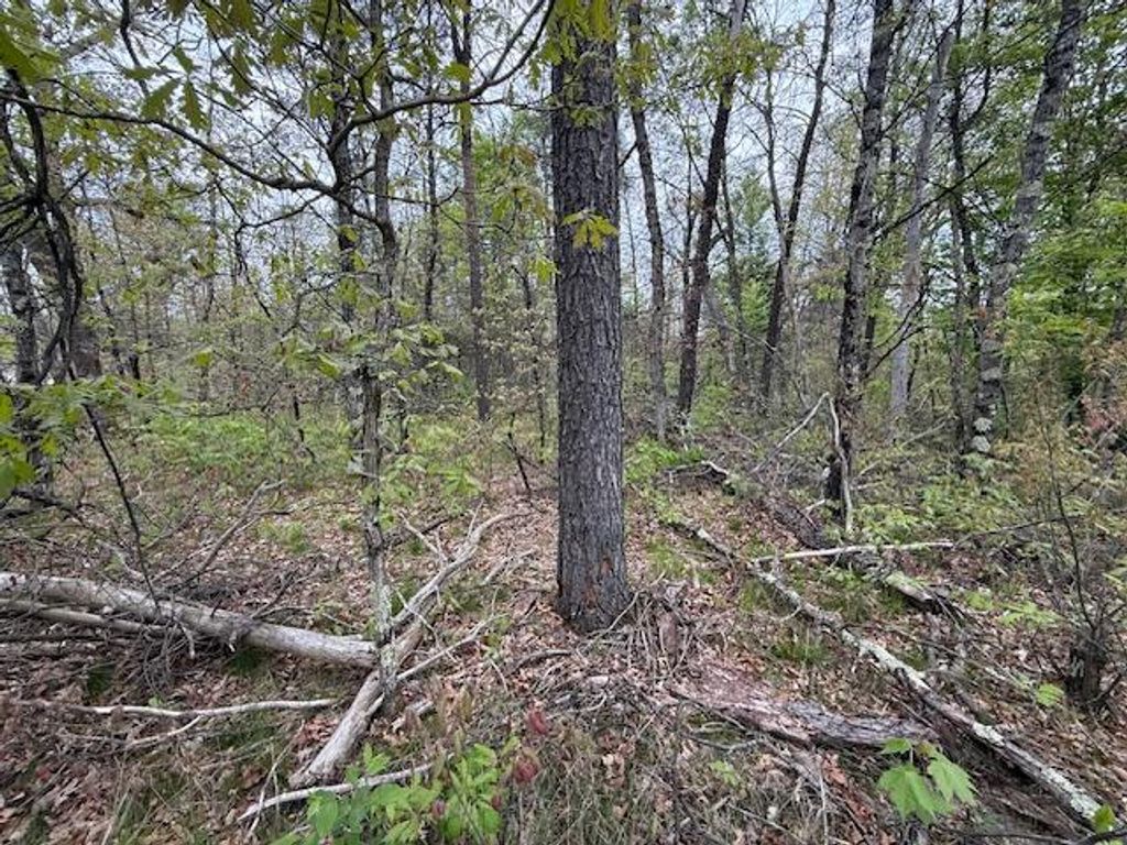 Photo of VL Mt. Vernon Avenue, Idlewild, MI 49642 (MLS # 26005013)