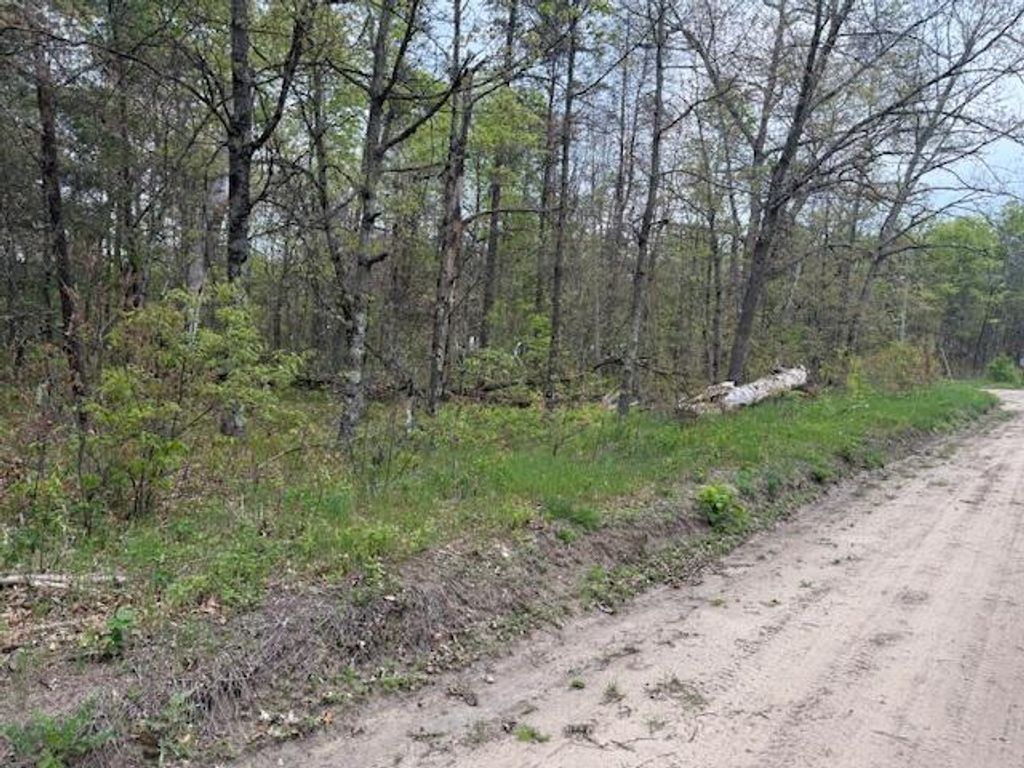 Photo of VL Mt. Vernon Avenue, Idlewild, MI 49642 (MLS # 26005013)