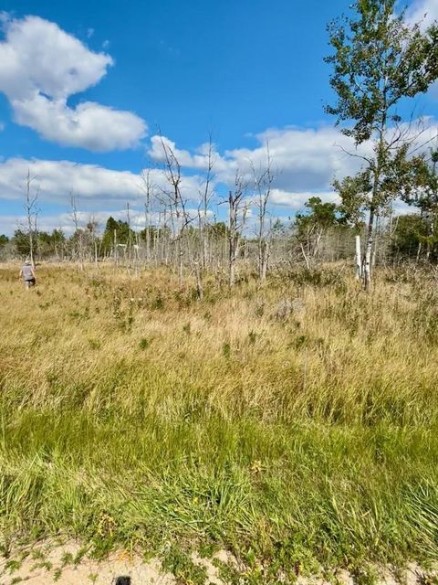 Photo of Lot 17, W Fairway Street, Onekama, MI 49675 (MLS # 26001047)