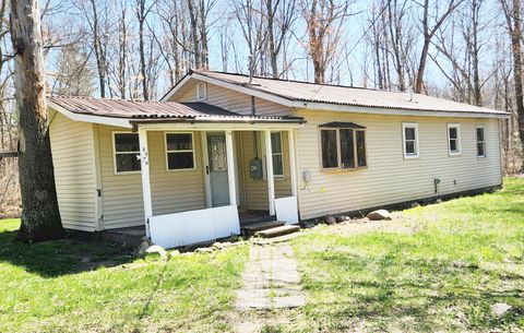 Photo of 2570 S Walnut Avenue, White Cloud, MI 49349 (MLS # 26017529)