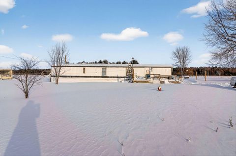 Photo of 4202 N 120th Avenue, Hart, MI 49420 (MLS # 26003293)