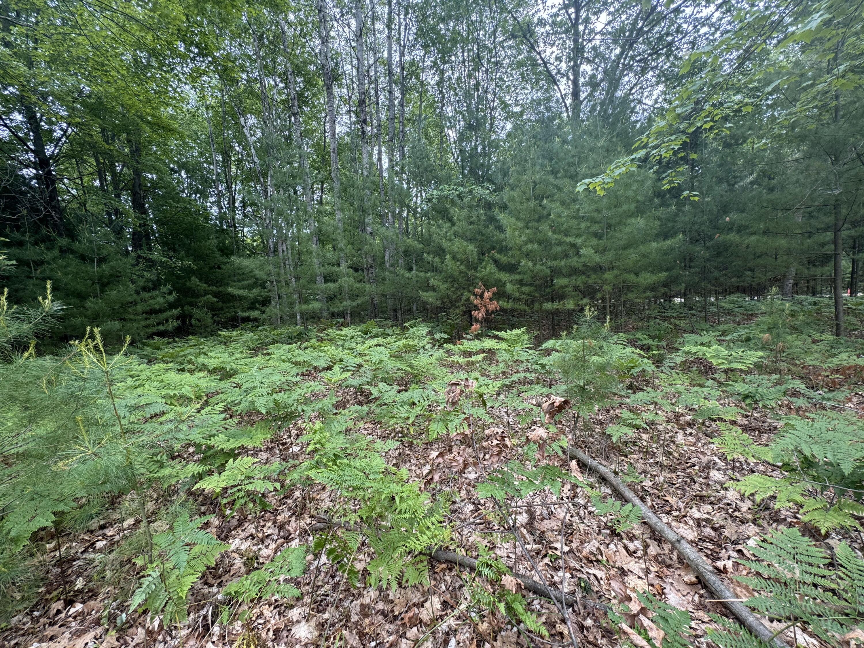 6336 Cedar Trace