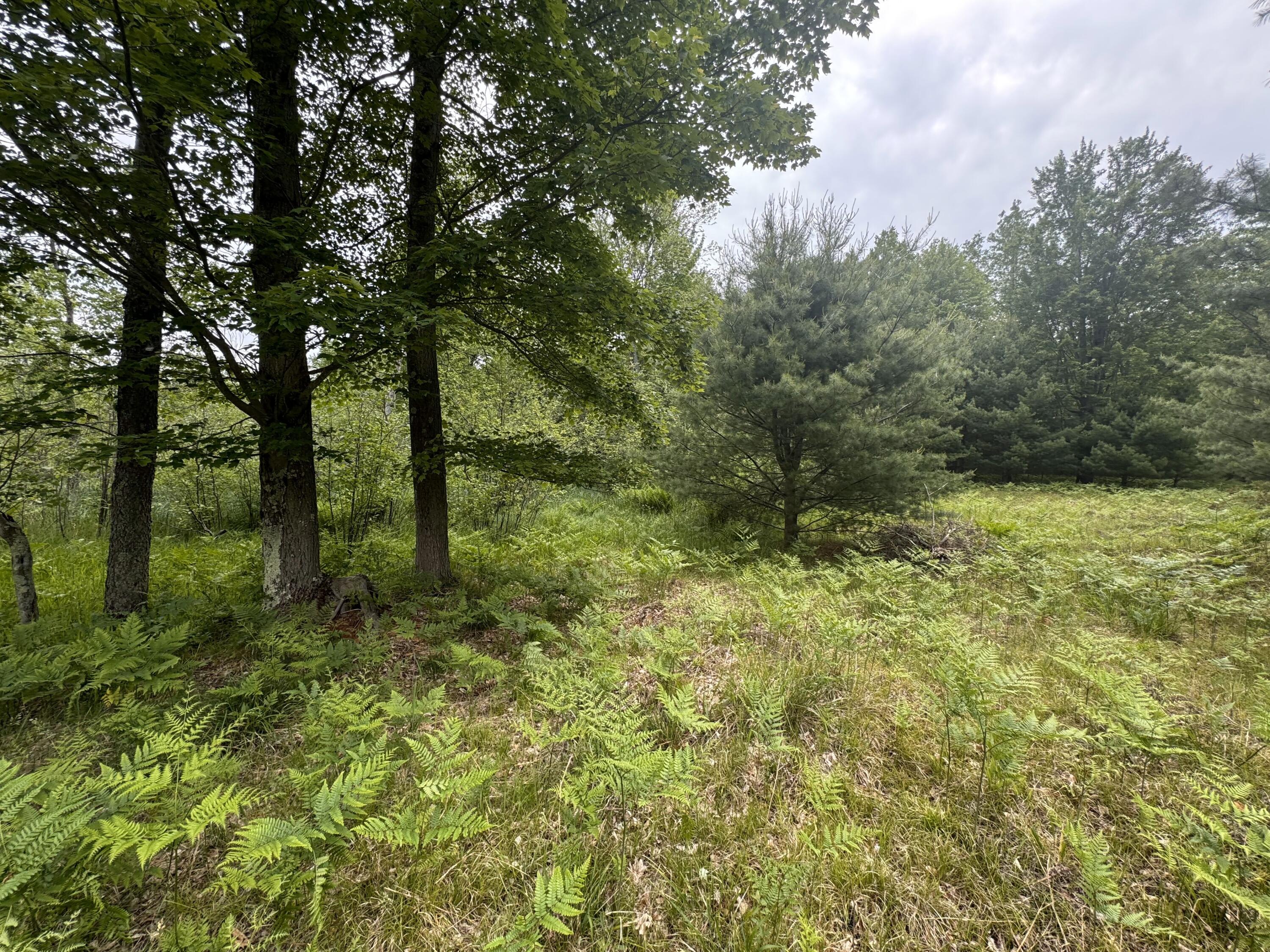 6336 Cedar Trace