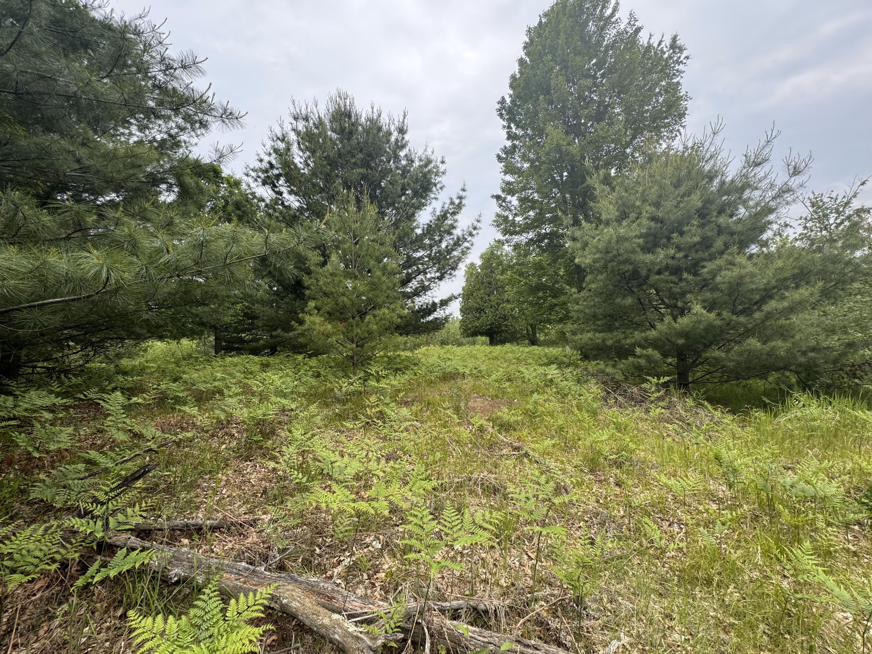 6336 Cedar Trace