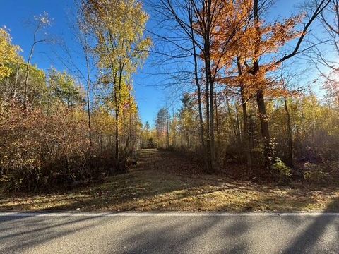 Photo of V/L 9 Mile Road, Reed City, MI 49677 (MLS # 25054627)