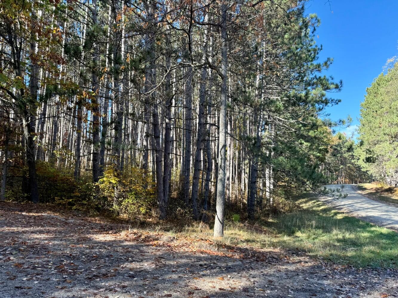 12426 Lone Wolf Trail