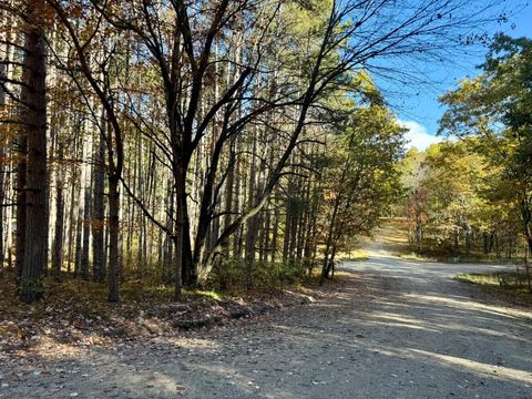 12426 Lone Wolf Trail Stanwood MI 49346