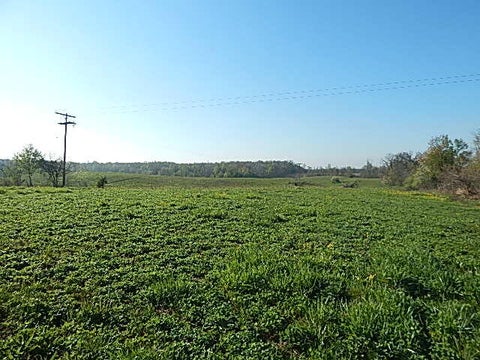 Photo for 8833 W Territorial Road