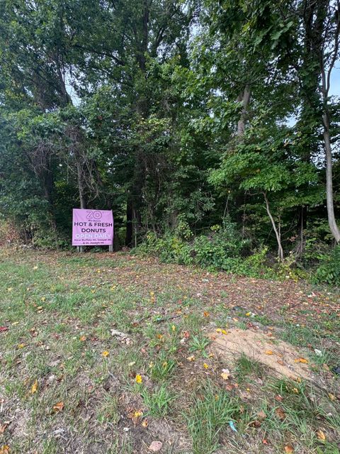 Photo of 7352 Red Arrow Highway, Stevensville, MI 49127 (MLS # 25061550)