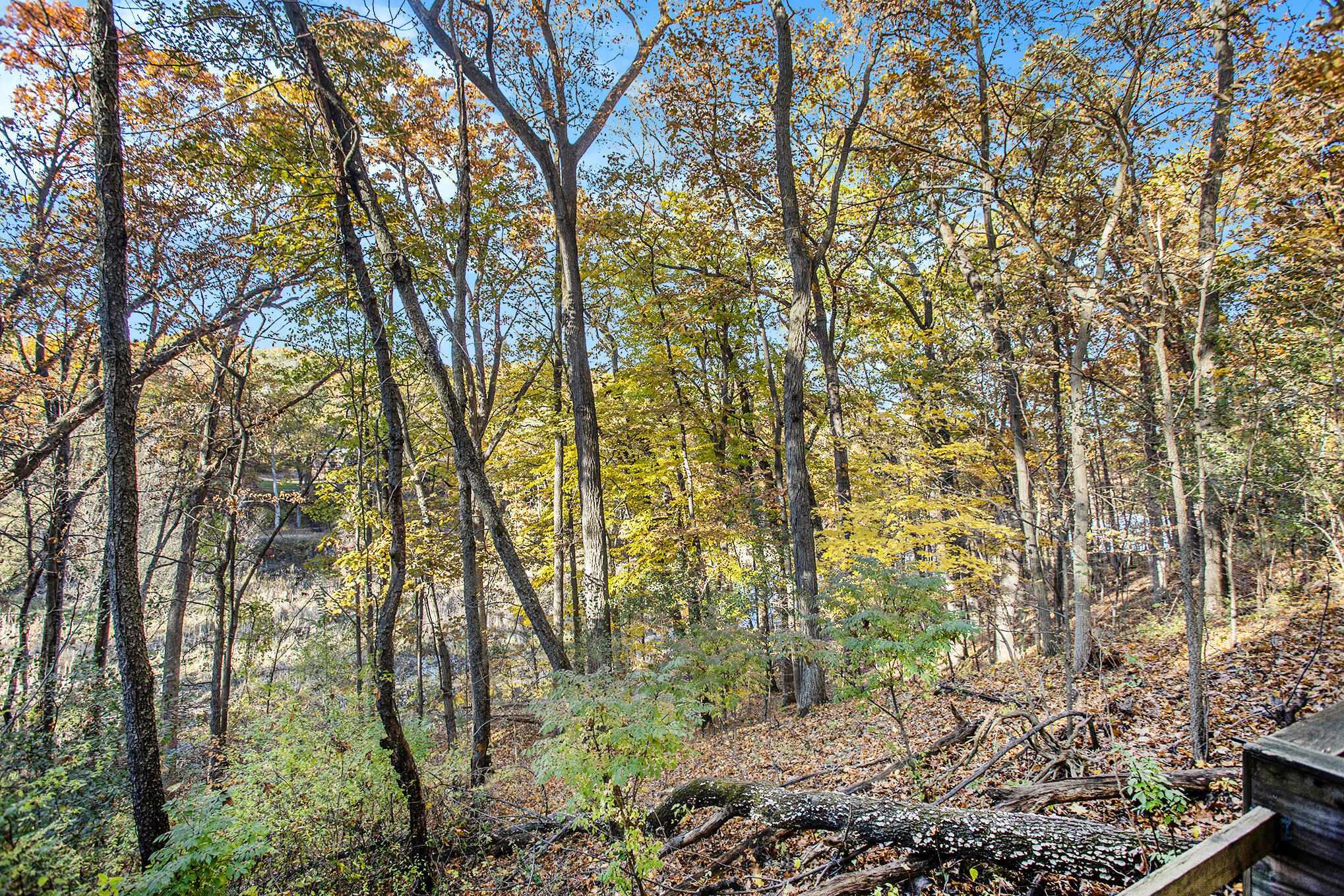 Battle Creek, Michigan 49037, United States, 5 Bedrooms Bedrooms, ,2 BathroomsBathrooms,Residential,Active,239382