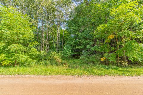 7574 9th Street Canadian Lakes MI 49346