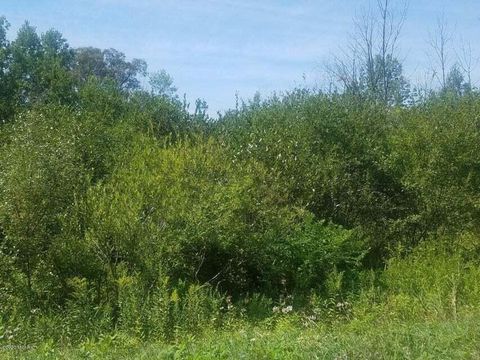 Photo of V/L S Marlene Street #Lot 16, Rothbury, MI 49452 (MLS # 26018447)