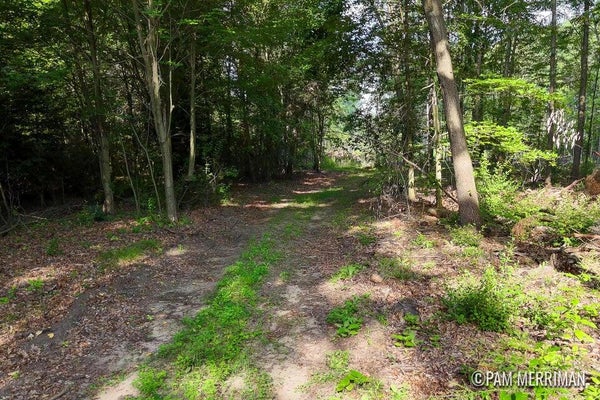 YOUNGMAN RD, TRUFANT, MI 49347 - Image 0b97567e4d37257063bc1e0087d8e8da/2090033077