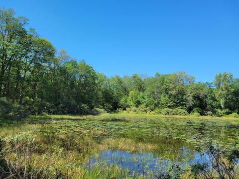 Photo of Lots 1-9 Cranberry Street, Wellston, MI 49689 (MLS # 25053334)