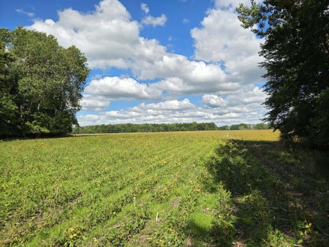 Photo for 2175 16 Mile Road NE