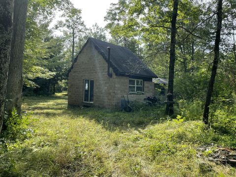 Photo of 00 Laverne Road, Wellston, MI 49689 (MLS # 25042280)