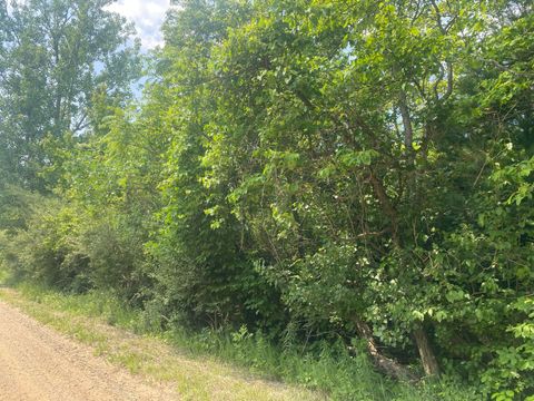 Photo of V/L N 55th Street-A, Grand Junction, MI 49056 (MLS # 25029299)