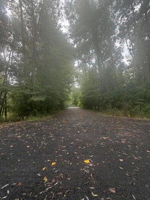 HEATHER DR, MARSHALL, MI 49068 - Image 0cf5ce58ba0c9ac528196ec18e8a3dfc/2231593523