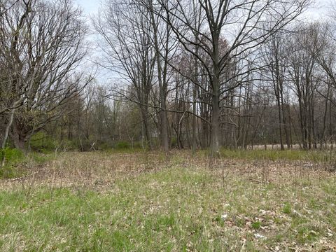 Photo of 000 Red Arrow Highway, Stevensville, MI 49127 (MLS # 24061779)