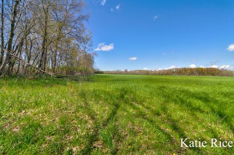 Photo of VL S 96th Avenue, Rothbury, MI 49452 (MLS # 26019278)
