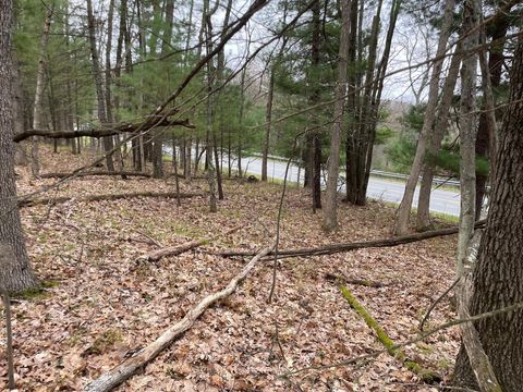 Photo of Parcel B Coates Hwy, Brethren, MI 49619 (MLS # 26019407)