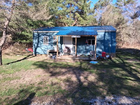 Photo of 4326 Heath Road, South Branch, MI 48761 (MLS # 26017275)