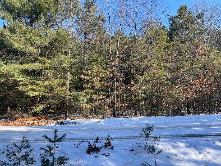 9098 Forest Pines Drive