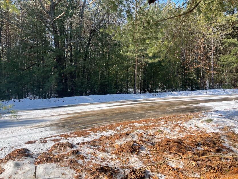 9098 Forest Pines Drive