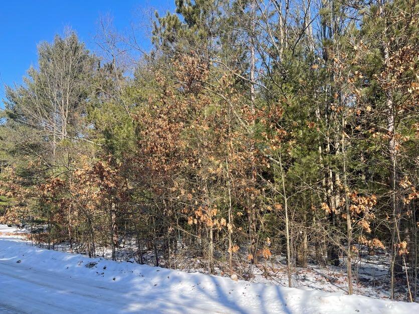 9098 Forest Pines Drive