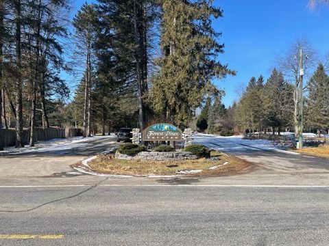 9098 Forest Pines Drive Mecosta MI 49332