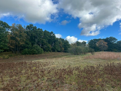 Photo for 9177 S Bonney Road