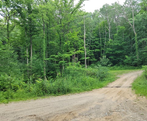 2996 COURT DR SE, LOWELL, MI 49331 - Image 0ee436c41dec23518ebefdfdb296fcff/2237770078