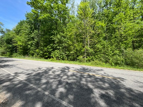 Photo for Wildwood Road