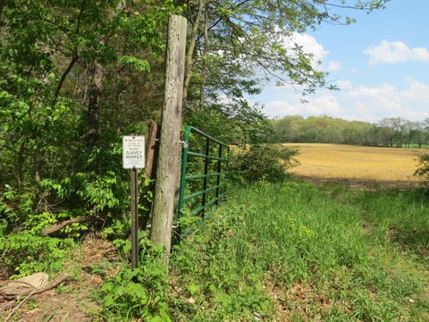 Photo for Giles Road