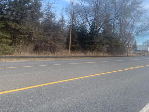 Photo of Parcel B W Shaw Street, Howard City, MI 49329 (MLS # 26011547)