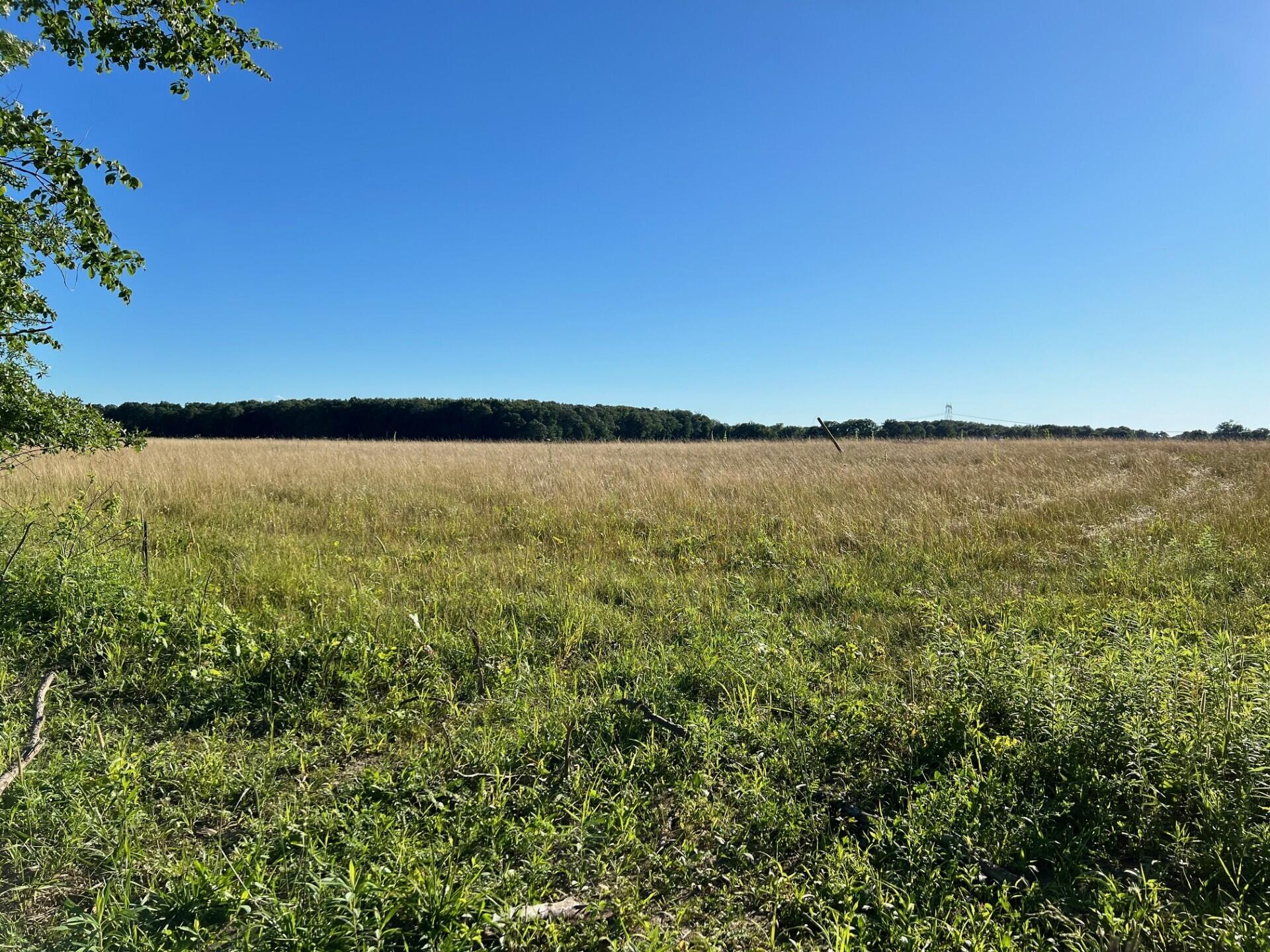 Three Oaks, Michigan 49128, United States, ,Land,Active,67604